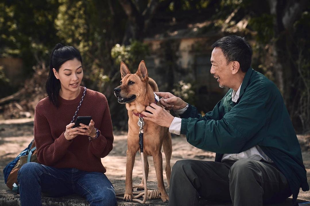 唐狗Little飾演狗狗主角燒腩，可惜電影上映前已因病去世。