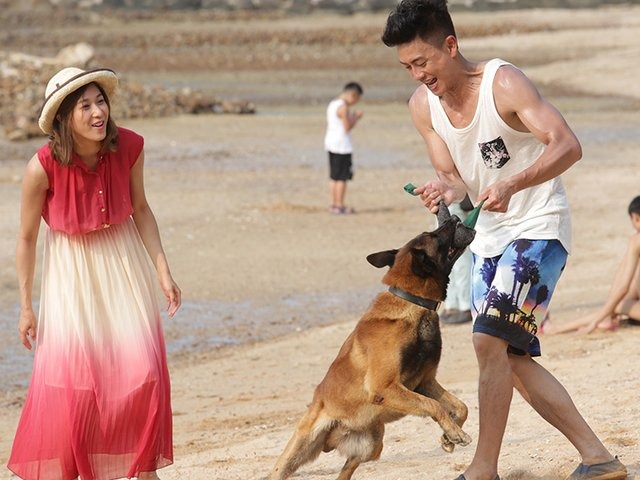 《警犬巴打》講述黎溢湫透過警犬拍檔巴打，與獸醫馬志昊牽起紅線的故事。