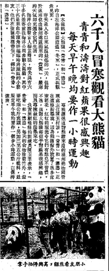 1984年冬至6,000名市民无惧寒冬到海洋公园探望大熊猫。