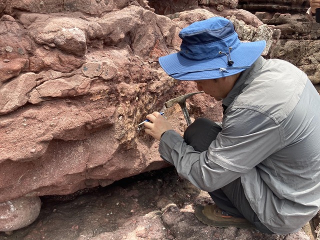 experts collecting fossil specimens in Port Island