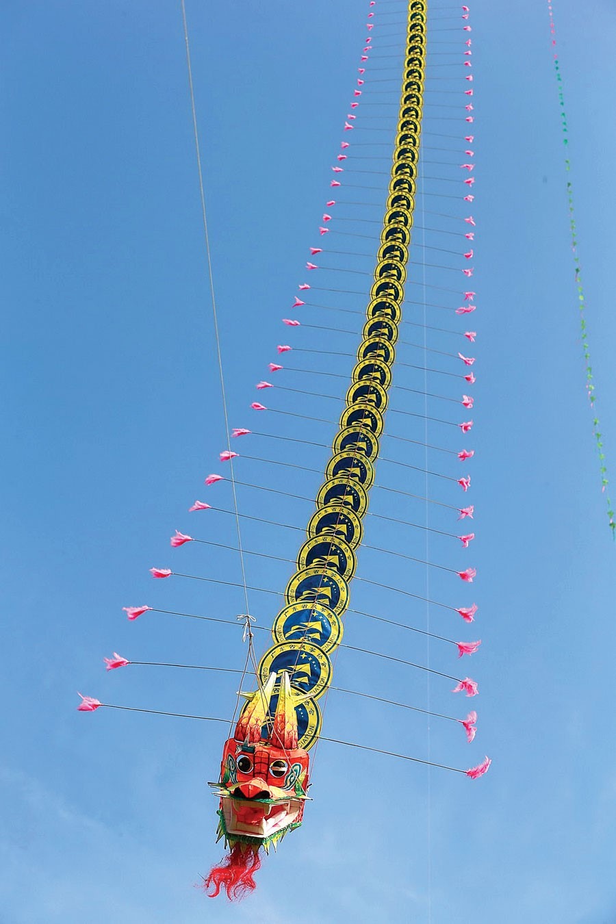 The kites in Huizhou often have long tails that can flutter with the wind and drive away bad luck.