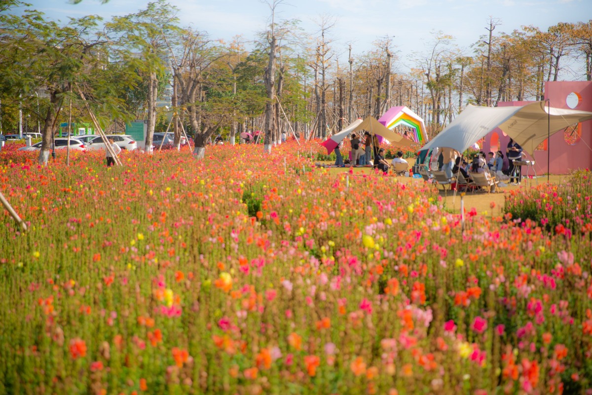 中山珠海賞花地圖