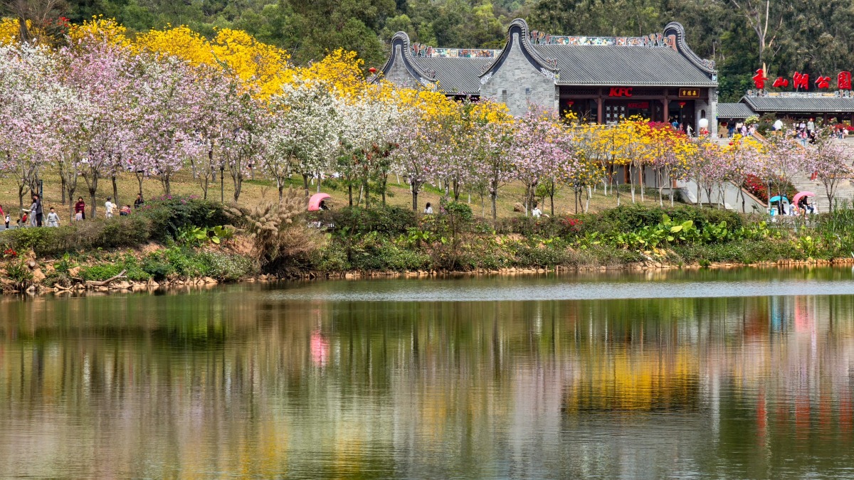中山珠海賞花地圖
