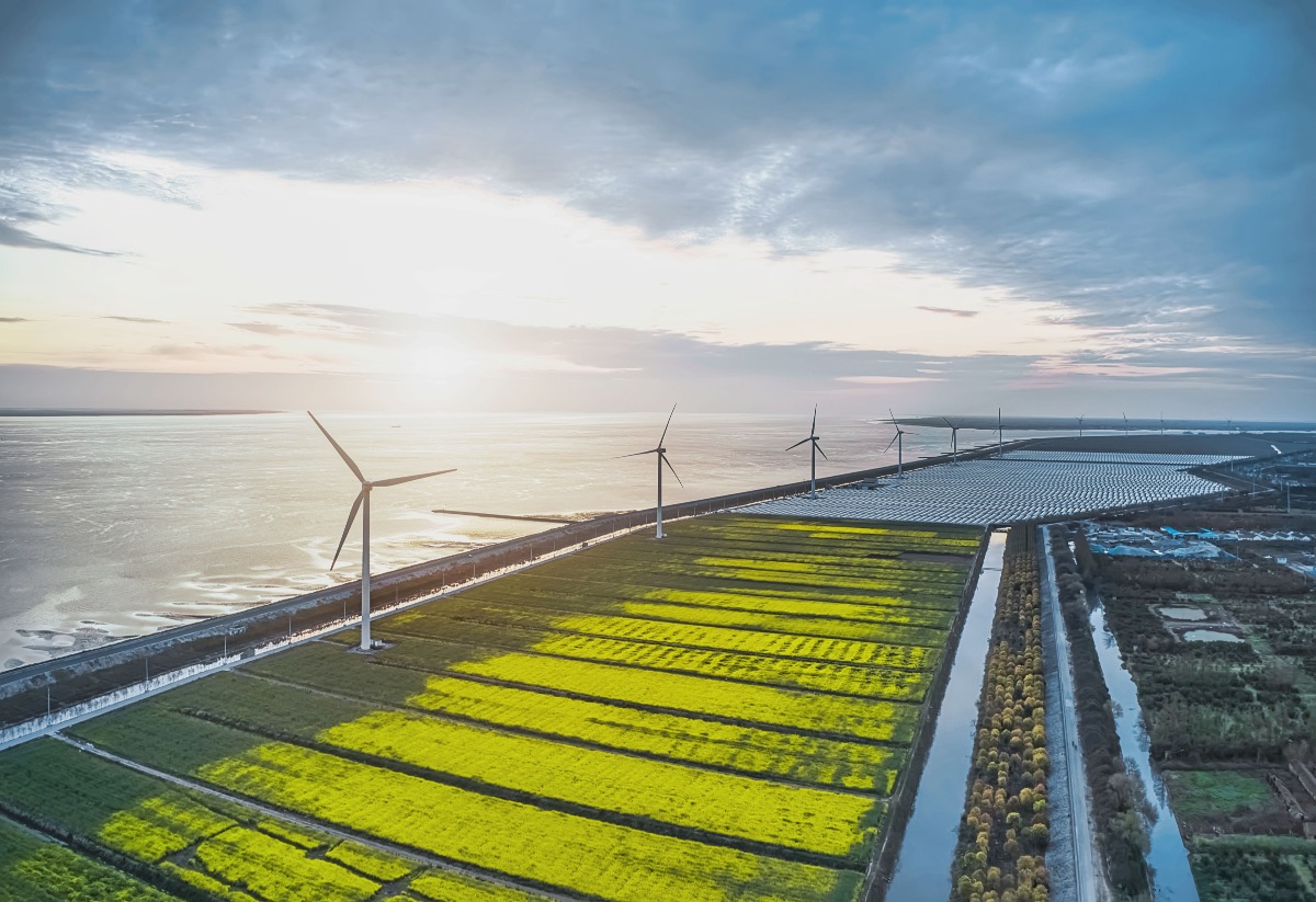 位於中國上海的海邊風力發電場，風力發電機下有一大片油菜花園。