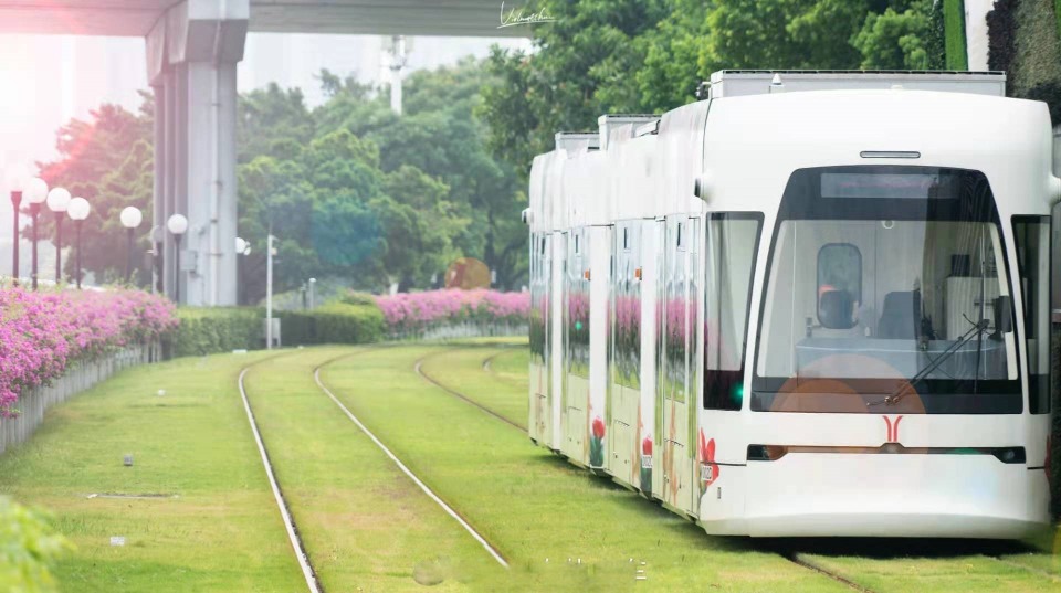 廣州海珠有軌列車沿途兩旁木棉樹和三角梅，四季都景色優美，看得令人曠神怡。