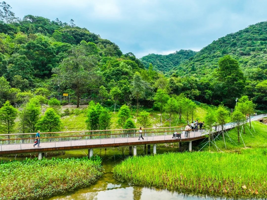 深圳头陂公园有空中栈道通往山上，享受登山之乐。