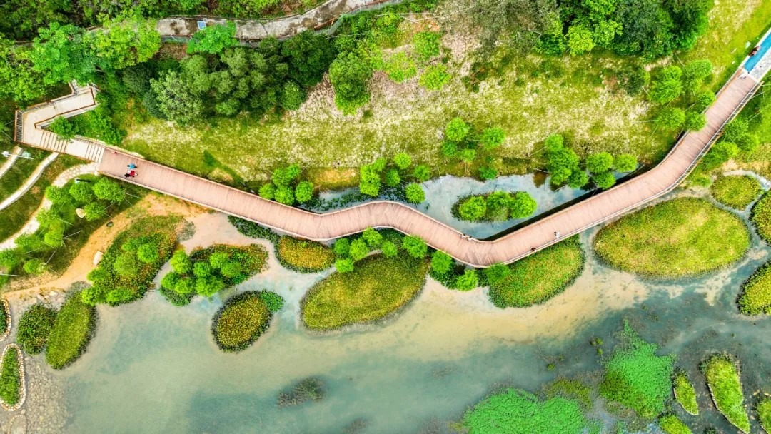 Shenzhen Toupi Park builds a beautiful walkway for hiking. 