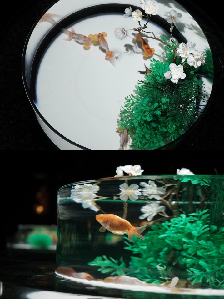 作為中國首站，ART AQUARIUM夢幻金魚藝術展，特別增設有7個中國限定作品，像是「翠瀾石韻」，便以中式園林的假山、石亭為原型打造。