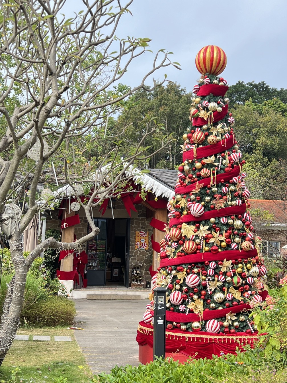 在深圳一些餐廳或咖啡店，都極盡心思布置，不但聖誕樹、聖誕燈飾應有盡有，還打造大面積的雪地，大灑人造雪，光是打卡已值得入內光顧。