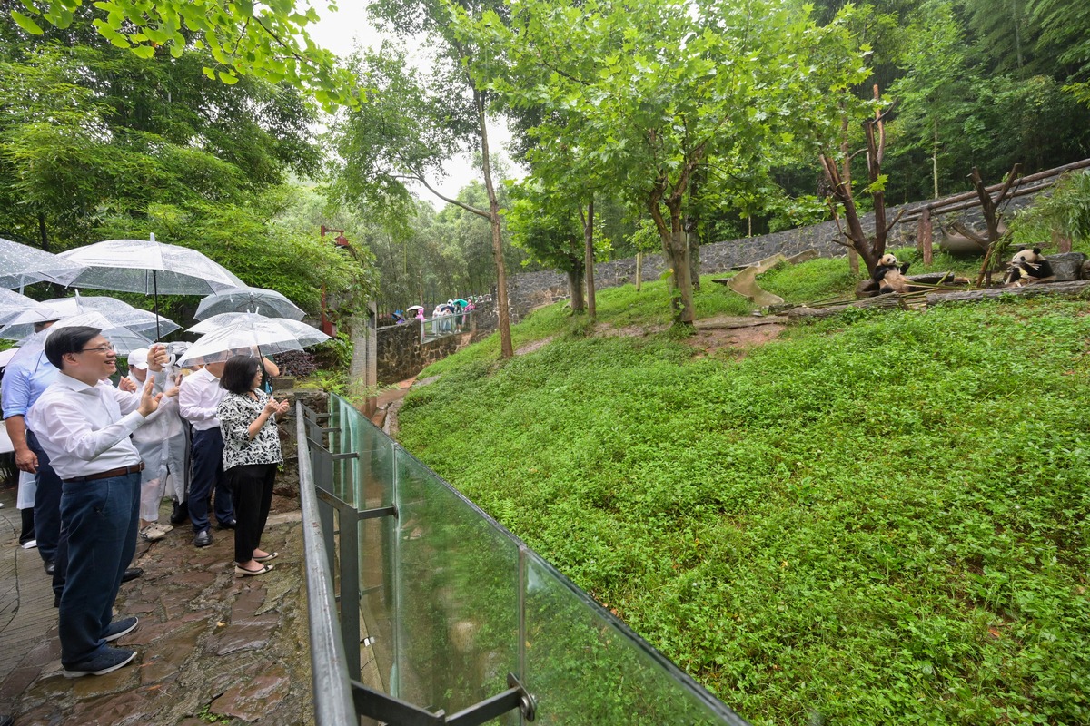 中央贈香港大熊貓李家超參觀大熊貓基地01