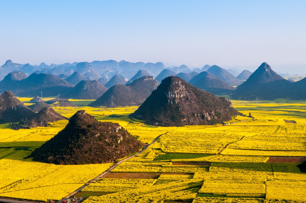 当代中国-中国旅游-云南罗平油菜花田