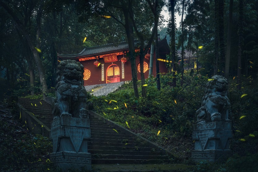当代中国-潮游生活-旅游风物-中国旅游-萤火虫观赏地-南京兜率寺