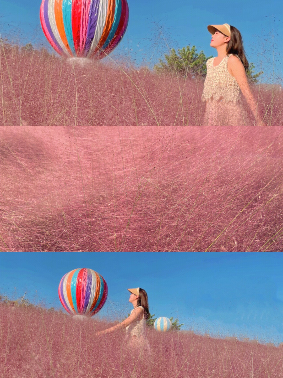 Pink Muhly Grass in Chengdu Music Flower Valley