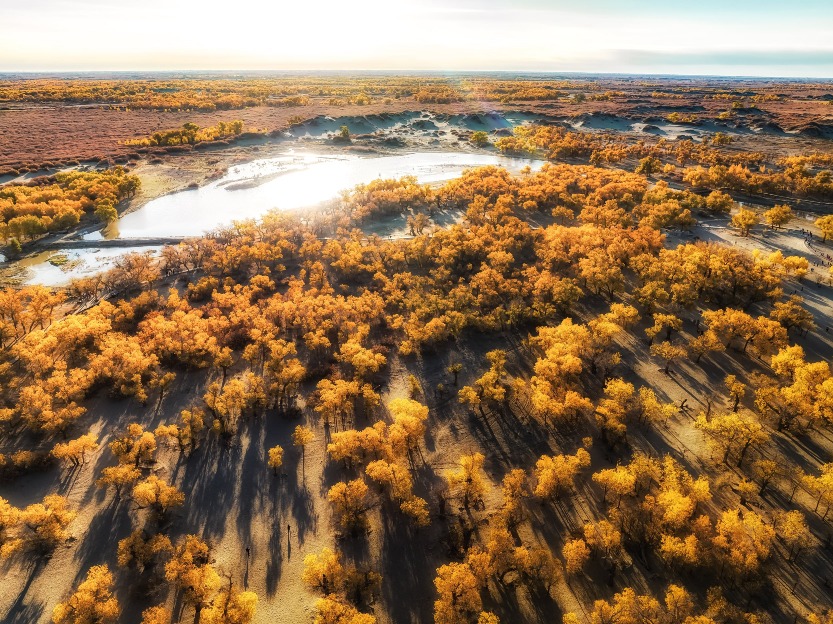 Ejina Poplar National Forest Park is one of the only three remaining original poplar forests in the world, covering an area of over 4,500 hectares.