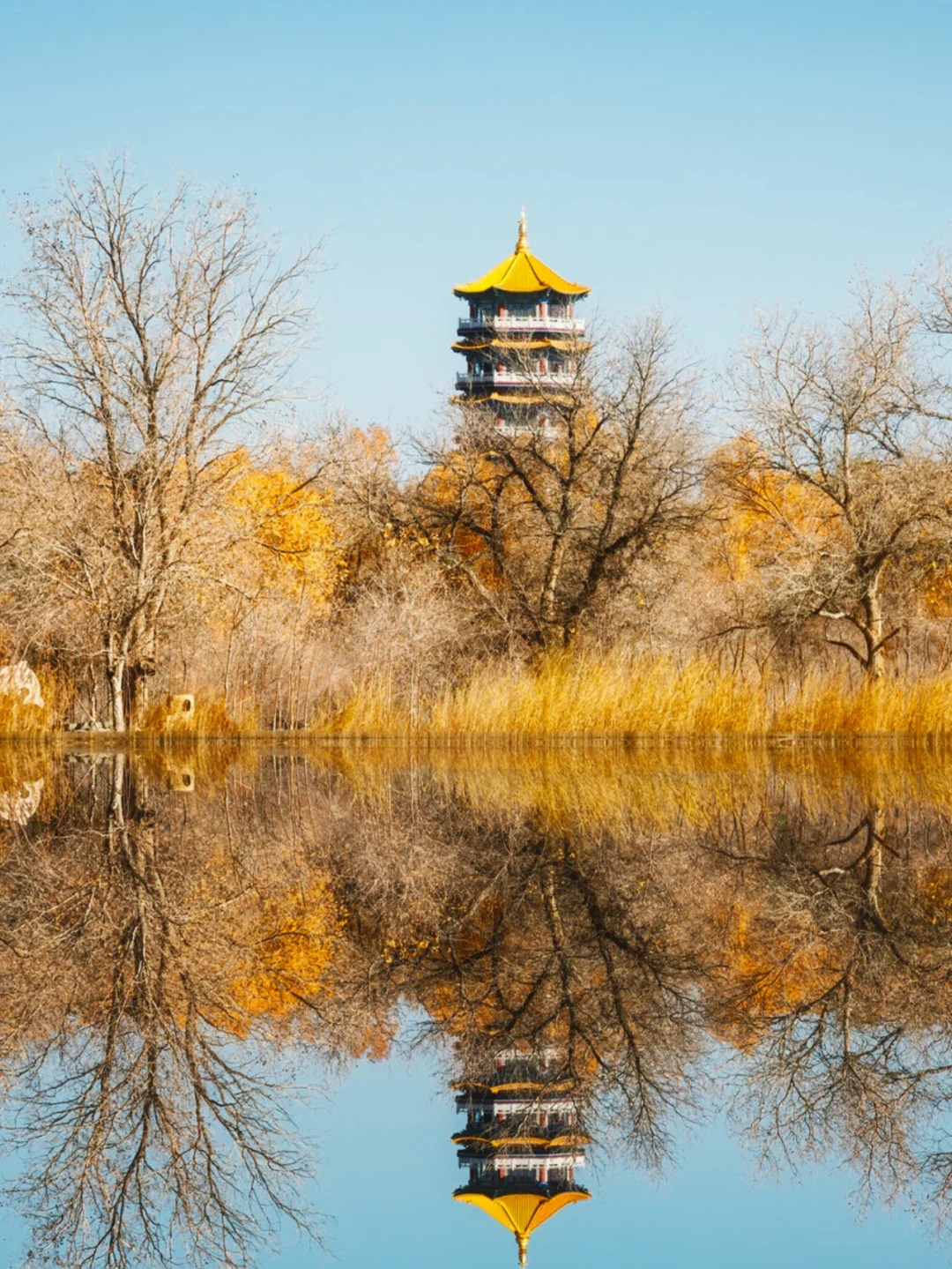 In Jinta Tidal Lake Forest Farm, Gansu, stands an ancient-style Golden Tower of the poplar forest, where visitors can climb to the top to get a panoramic view of the poplar forest.