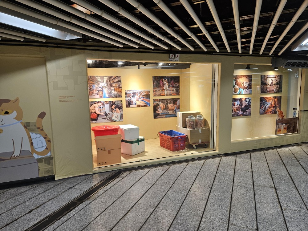 《同萌社區 THE COMMEOWNITY》展覽分為4大主題，貓店長的身影遍布其中。