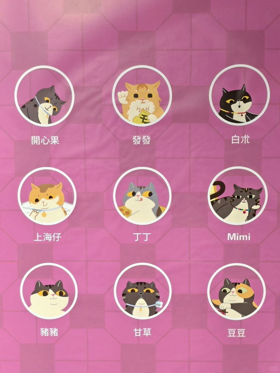 《同萌社區 THE COMMEOWNITY》貓店長·窩心攝影展